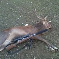 this guy was a bit one sided