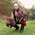 Grouse over pointing dogs, Scotland, 2013