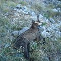 Biokovo Croatia