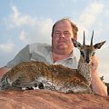 klipspringer