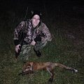 Red fox