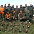 pheasant hunting with friends from Croatia