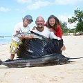 Sailfish - zanzibar island