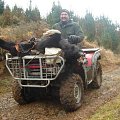 Hog, South island, New Zealand