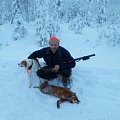 Winterhunt fox