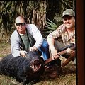 Wild boar