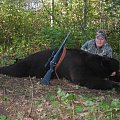 We take some huge black bears every year. 