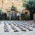 One day of leg partridge in Spain, over 400 birds