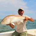 Redfish Gulf of Mexico
