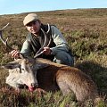 Scotland cull hunt, fine Red stag