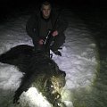 Hunt in Slowakia