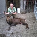 Gold Medal Sika