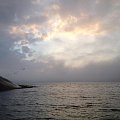 Sea bird hunting