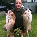 NZ Snapper