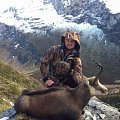 Chamois, New Zealand (Dan Feary)