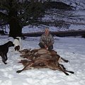 red deer hinds febuary