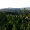 Krajina