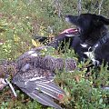 Bird hunting in Kuru