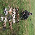 Mixed bag