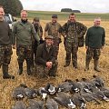 October pinkfeet 