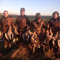 Out on the geese