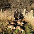 February roe does