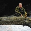 Exchangehunter and 10-pointer Finnish WT-deer.
