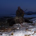 East siberia Brown bear hunt www.sergoutfitter.com