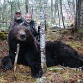 Amur bear hunt