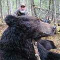 Amur bear hunt