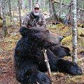 Amur bear hunt