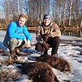Love to Hunt beaver in The spring, 2 friends Who Was visiting me for som hunt