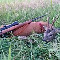 Roebuck hunting by boat