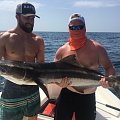 Kingfish