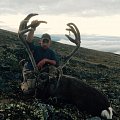 Trophy reindeers and red stag. Atlantic salmon fishing