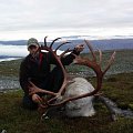 Trophy reindeers and red stag. Atlantic salmon fishing
