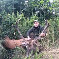 Trophy reindeers and red stag. Atlantic salmon fishing