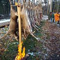 Driven hunt