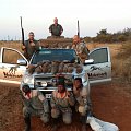 Swainsons Francolin in limpopo.