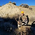 2018 Mule Deer