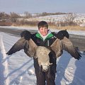 Look at the size of this Honker!