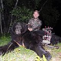 bear