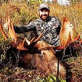 moose 