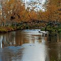 Lapland scenery on september