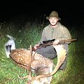 Fallow deer from our loc with my foxterrier