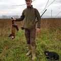 Pine marten thanks to my dog
