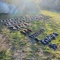 Austria is a dream for small game hunters!