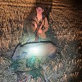 Boars may come also after the fox shot!
