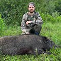 Argentina’s Boar 