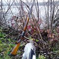 My next wild geese from Hodonína in the Czech Republic.